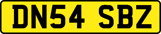DN54SBZ