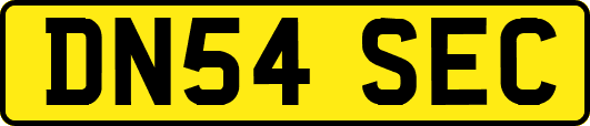 DN54SEC