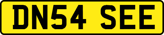 DN54SEE