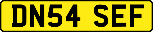 DN54SEF