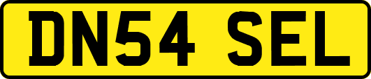 DN54SEL