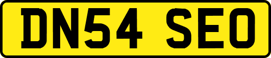 DN54SEO