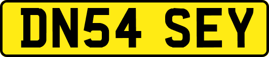 DN54SEY