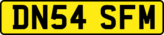 DN54SFM