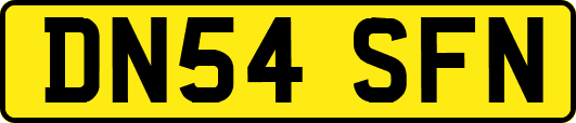DN54SFN