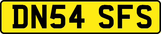 DN54SFS