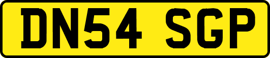 DN54SGP
