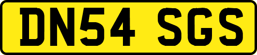 DN54SGS
