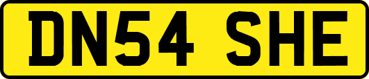 DN54SHE