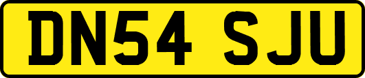 DN54SJU