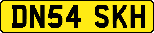 DN54SKH