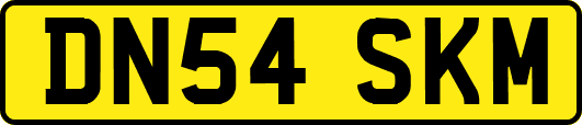 DN54SKM