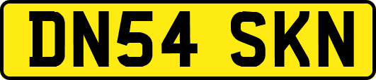 DN54SKN