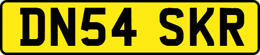 DN54SKR