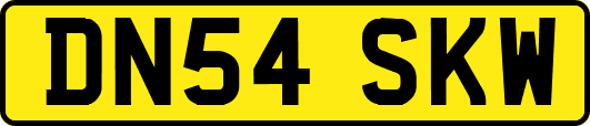 DN54SKW