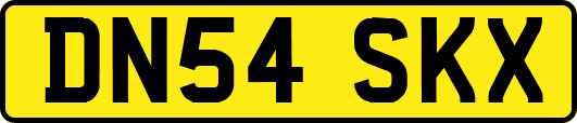 DN54SKX