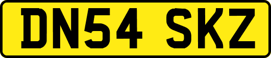 DN54SKZ