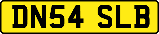 DN54SLB