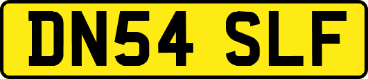 DN54SLF