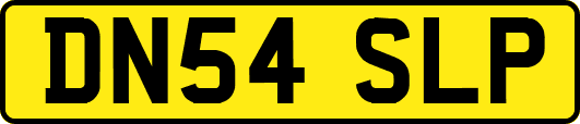 DN54SLP