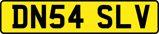 DN54SLV