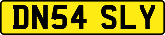 DN54SLY