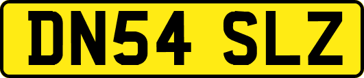 DN54SLZ