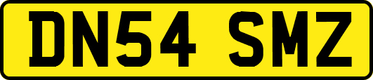DN54SMZ