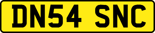 DN54SNC