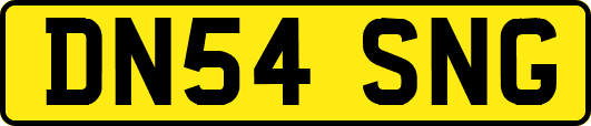 DN54SNG