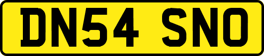 DN54SNO