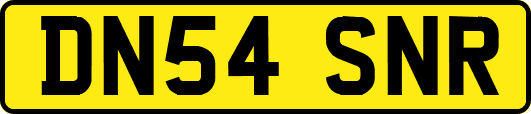 DN54SNR