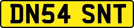 DN54SNT