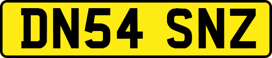 DN54SNZ