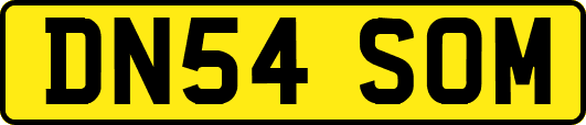 DN54SOM
