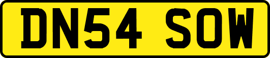 DN54SOW