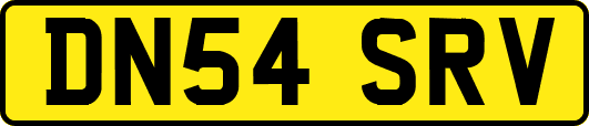 DN54SRV