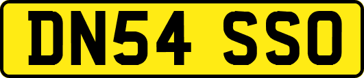 DN54SSO