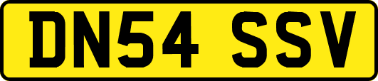 DN54SSV