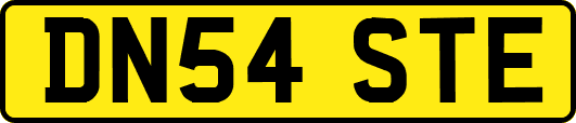 DN54STE