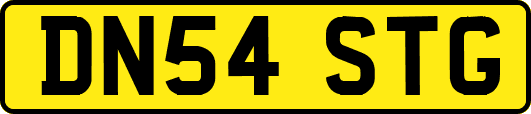 DN54STG