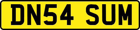 DN54SUM