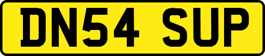 DN54SUP