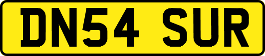 DN54SUR