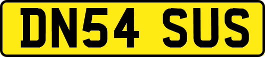 DN54SUS