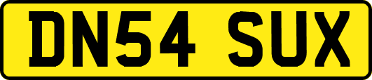 DN54SUX