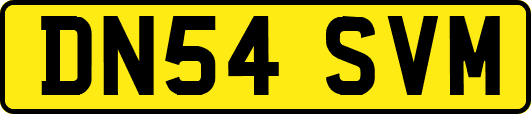 DN54SVM