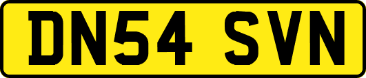 DN54SVN