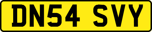DN54SVY