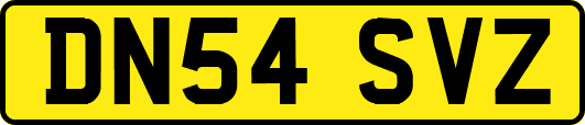 DN54SVZ